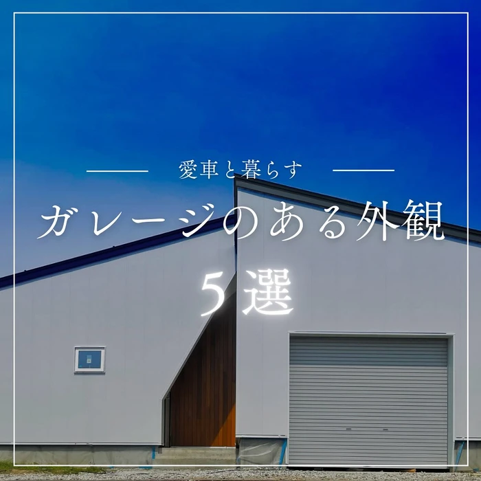 画像288