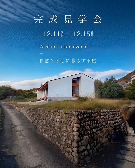 画像378